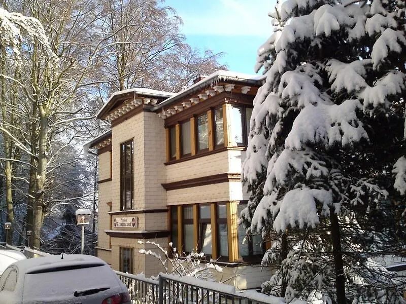 Pension Tannenrausch-1